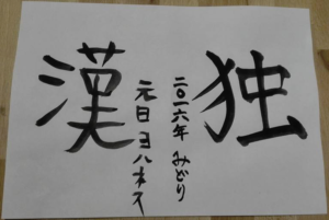 My new years resolution: Learning the Kanji